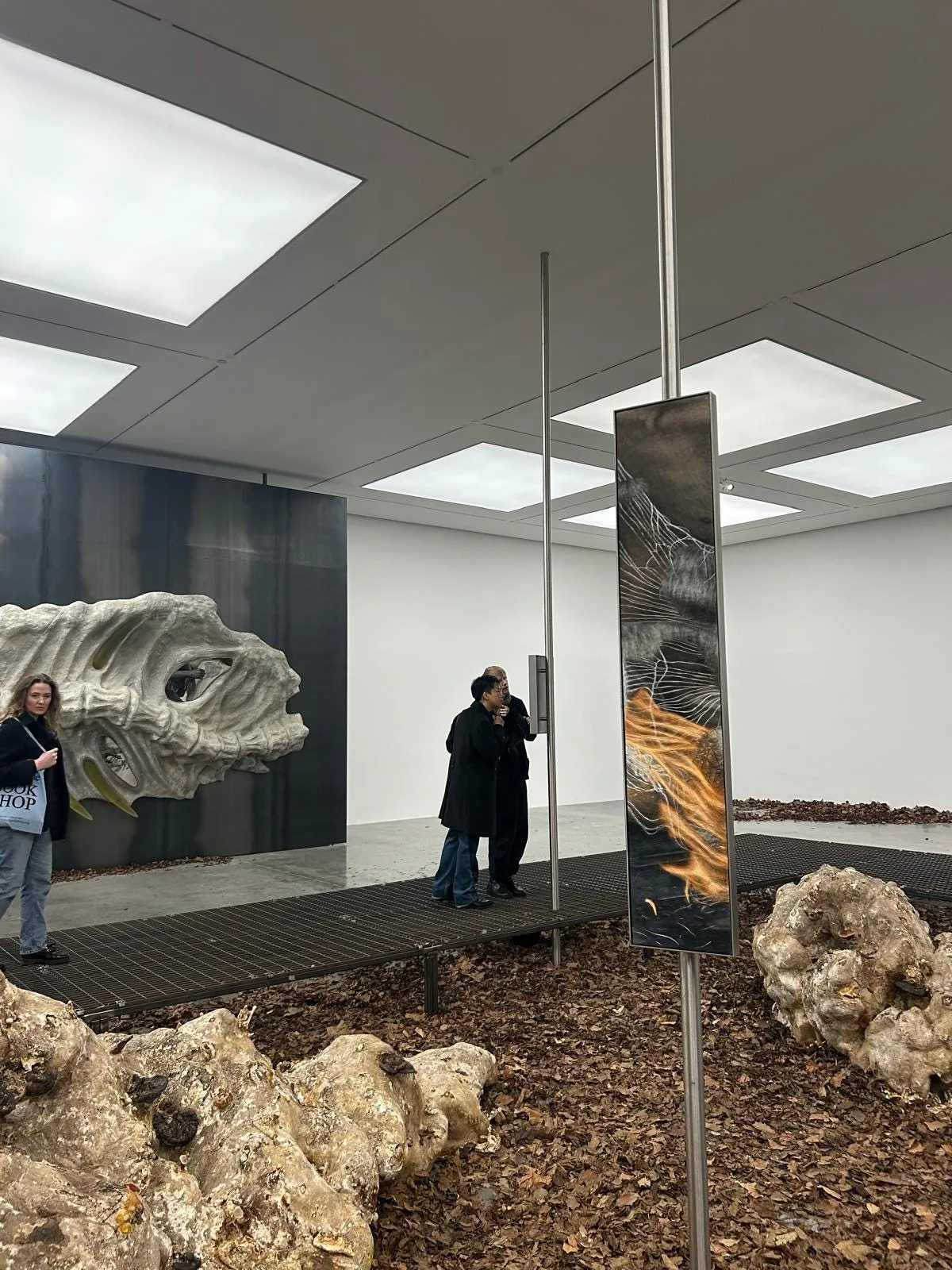 Echoes from the White Cube: Beyond time's structure