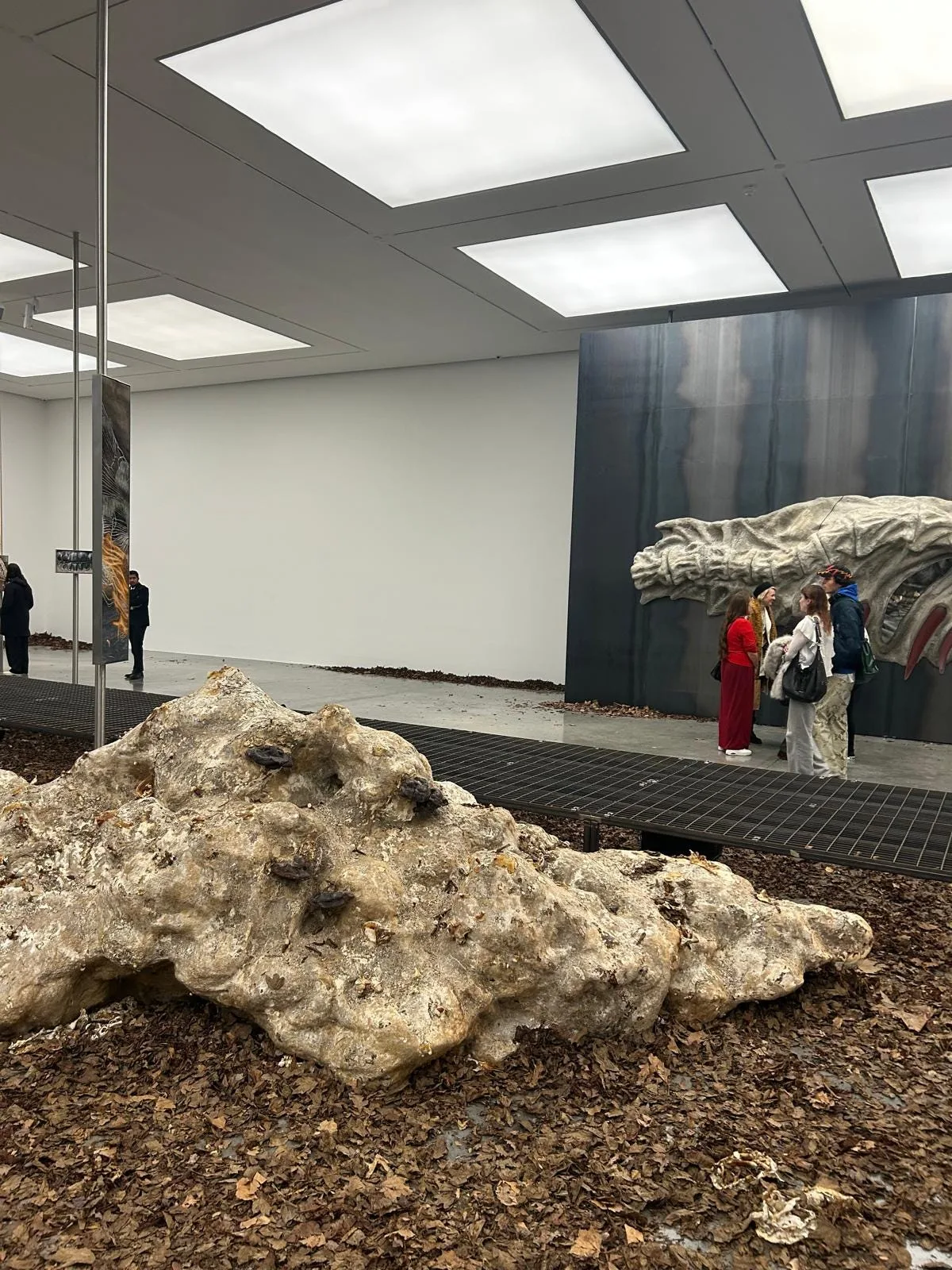Echoes from the White Cube: Beyond time's structure